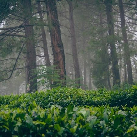Himalaya Mount View Resort Kausani Dış mekan fotoğraf